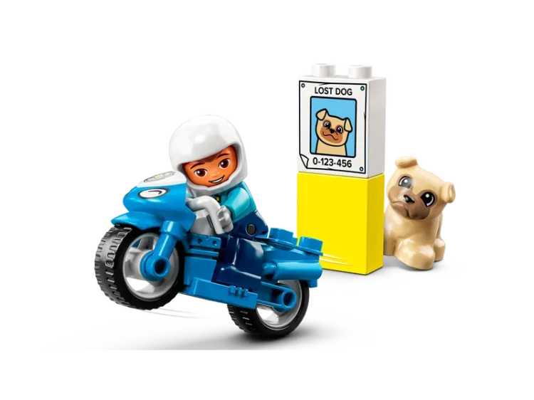 Zdjęcie