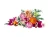 LEGO(R) BOTANICALS 10342