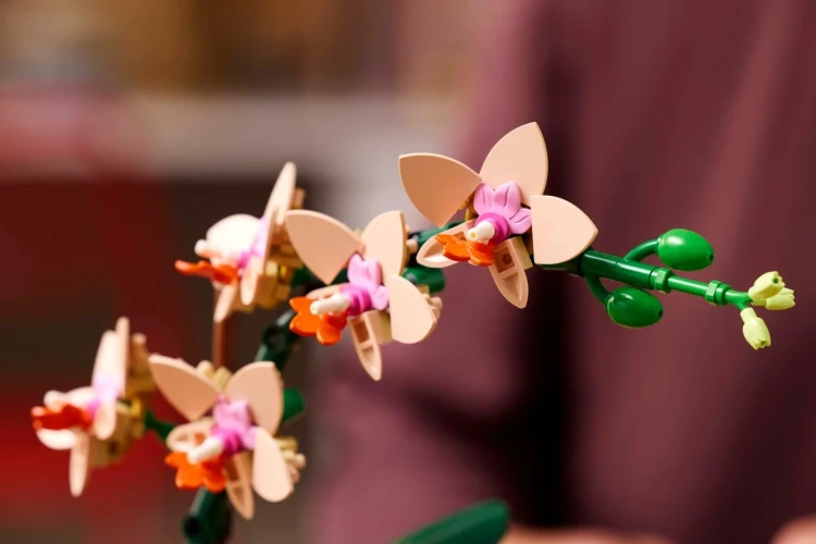 LEGO(R) BOTANICALS 10343
