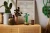 LEGO(R) BOTANICALS 10344