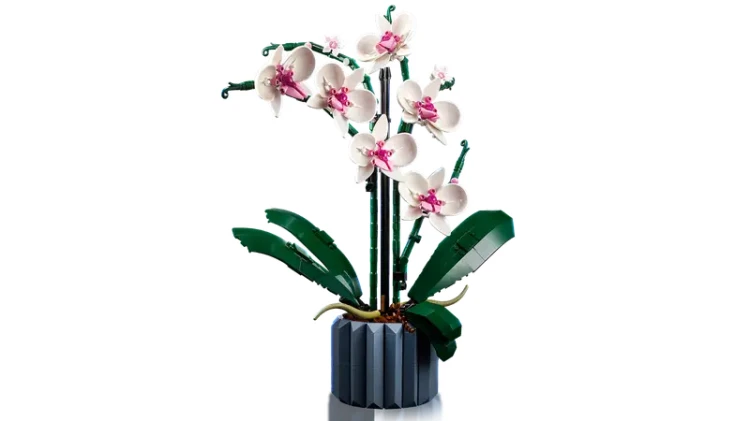 LEGO Icons 10311 Orchidea