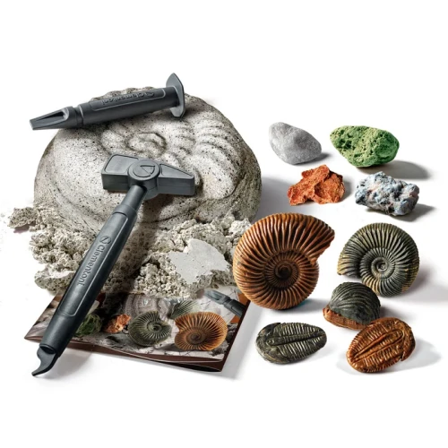 Clementoni Naukowa zabawa Skamieliny i minerały 50866