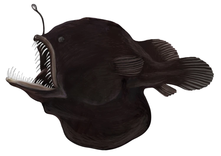 rebel-gra-strategiczna-na-dnie-morza-art2.png