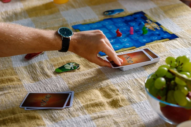 dixit-zdjecie-8.jpg