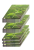 rebel-gra-strategiczna-lesne-rozdanie-asset2.png