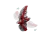 75362_alt3.png.webp