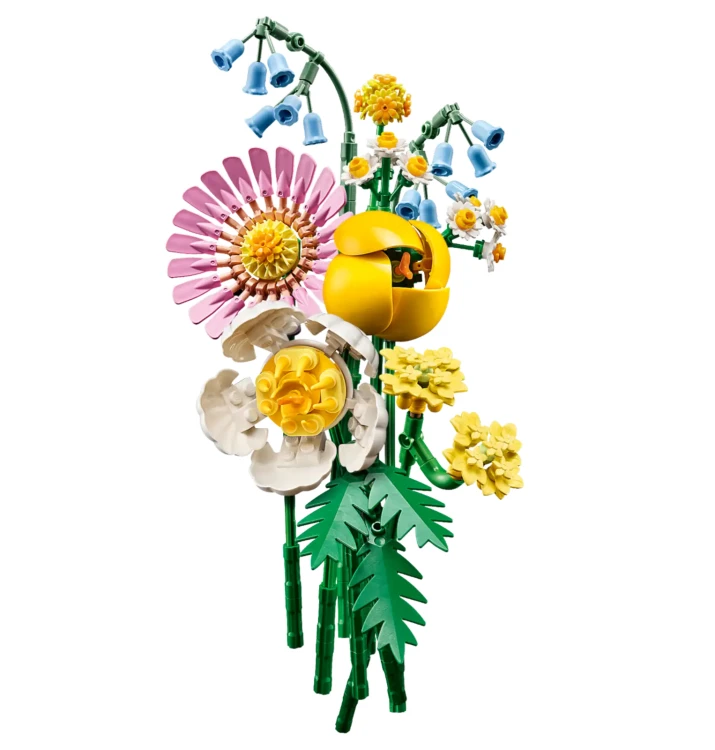 10347_WEB_SEC01_NOBG.png.webp
