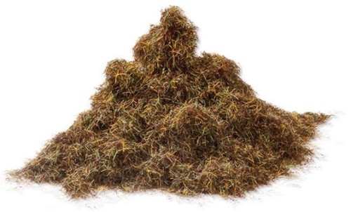 BF4115_STEPPE_GRASS_2.jpg