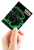 16655_ApexDP_PKM_NeonKanto_Venasaur_Hand.png