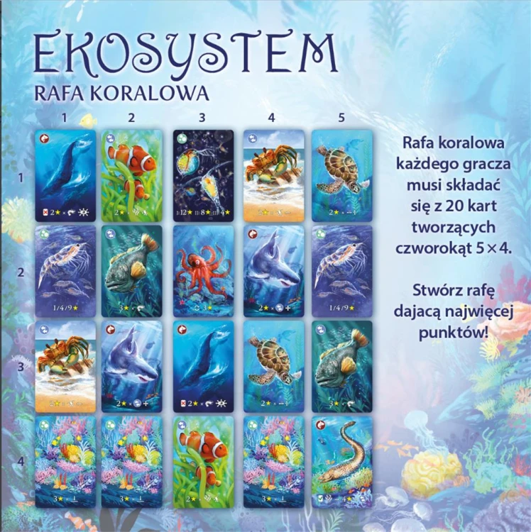 ekosystem-2-rafa-koralowa (4).jpg