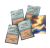rebel-gra-strategiczna-everdell-dalekobrzeg-asset6.png