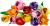 11501_Prod_en-gb.png.webp