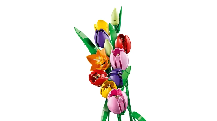 11501_WEB_SEC02_NOBG_en-gb.png.webp