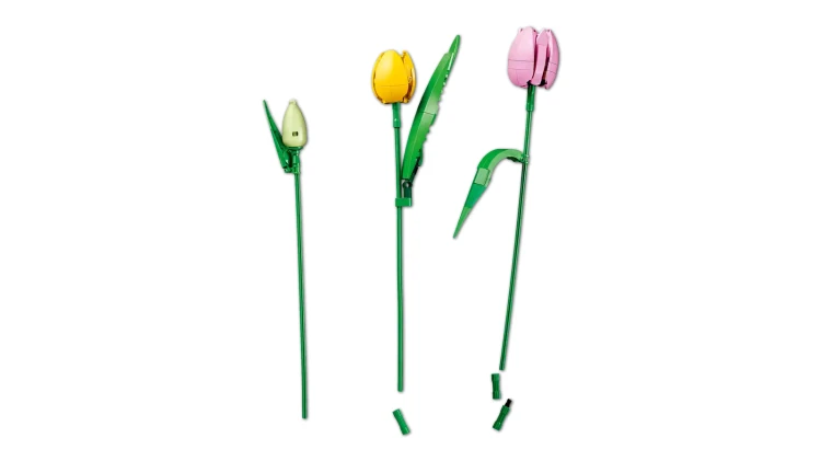 11501_WEB_SEC03_NOBG_en-gb.png.webp