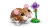 31376_WEB_SEC03_NOBG_en-gb.png.webp