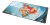 DLC_S11_PlayerMat_Angled_01.png
