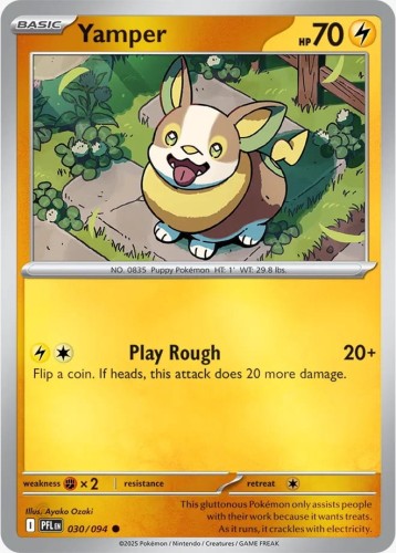 Yamper (PFL 030)R.jpeg