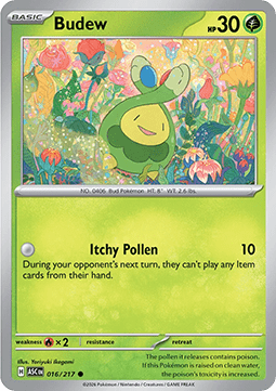 Budew (ASC 016).png