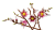 bltf1012114bd36e2ac-11510_WEB_SEC01_NOBG.png