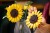 blt1c33118501c8da2f-11502_Lifestyle_Build_05.jpg