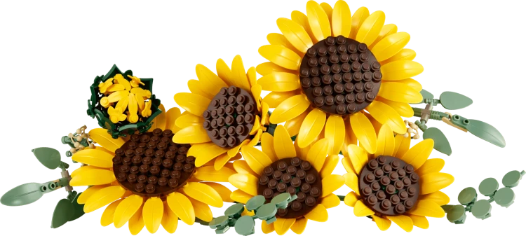 blt1c33118501c8da2f-11502_Prod.png