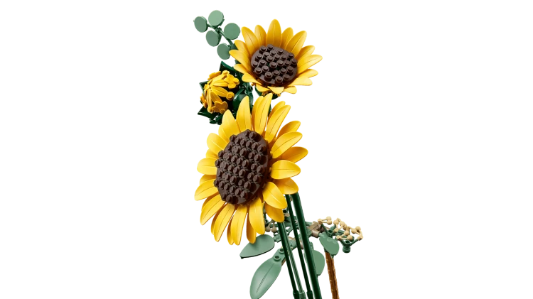 blt1c33118501c8da2f-11502_WEB_SEC02_NOBG.png