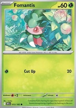 Fomantis (DRI 013).jpg