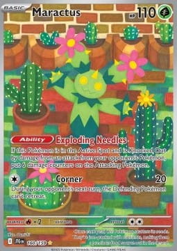 Maractus (JTG 160).jpg