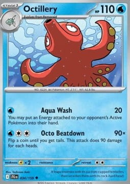 Octillery (JTG 034).jpg