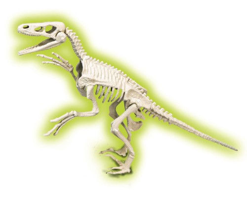 Skamieniałości - Welociraptor2 Mr Puggy.jpg