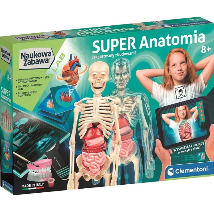 super anatomia mr puggy.jpg