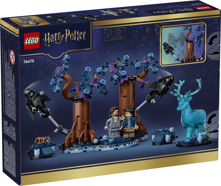 LEGO HARRY POTTER 76475 Zakazany Las Kraków.jpg
