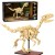 pol_pl_Klocki-konstrukcyjne-CaDA-zestaw-szkielet-dinozaura-Dinosaur-Fossils-Velociraptor-256-elementow-39009_7.jpg