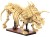 pol_pl_Klocki-konstrukcyjne-CaDA-zestaw-szkielet-dinozaura-Dinosaur-Fossils-Triceratops-272-elementy-39007_2.jpg
