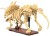 pol_pl_Klocki-konstrukcyjne-CaDA-zestaw-szkielet-dinozaura-Dinosaur-Fossils-Triceratops-272-elementy-39007_3.jpg
