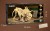 pol_pl_Klocki-konstrukcyjne-CaDA-zestaw-szkielet-dinozaura-Dinosaur-Fossils-Triceratops-272-elementy-39007_9.jpg