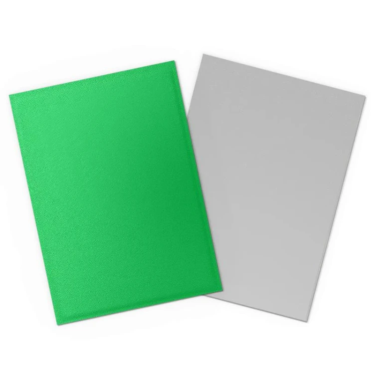 Dragon Shield Dual Matte Sleeves - Apple Green & Silver (100 Sleeves) MrPuggy.jpeg