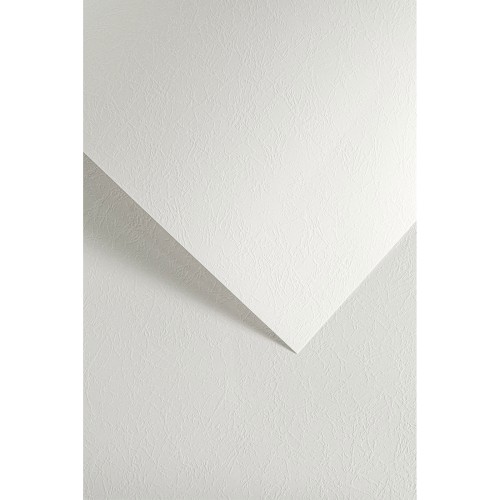 5903069023247.jpg
