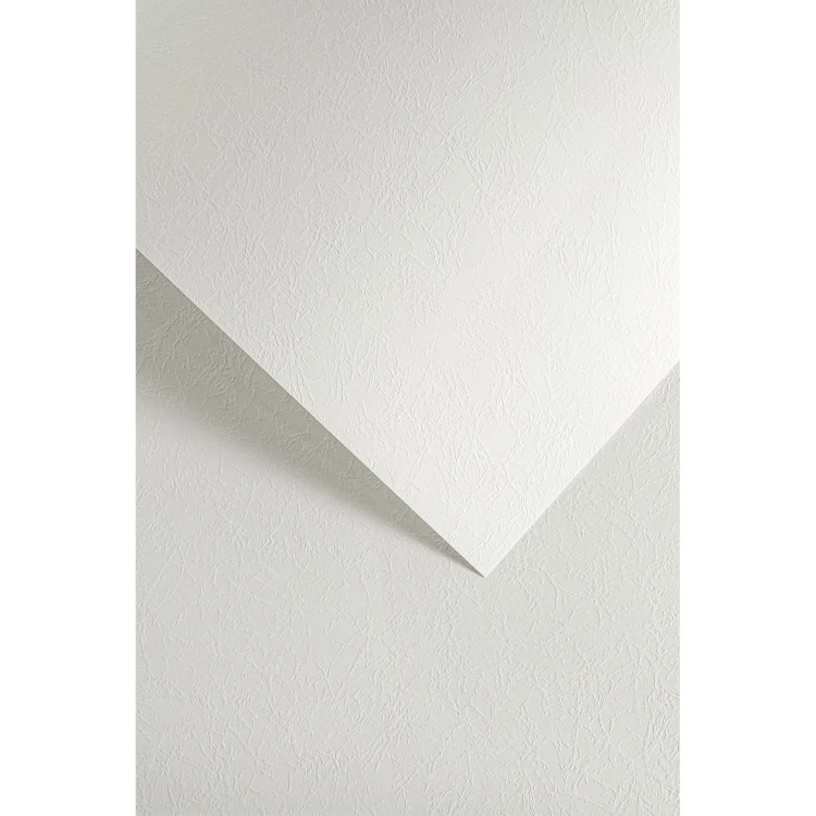 5903069023247.jpg