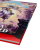 Book-AUN-Shot-7_0000.png