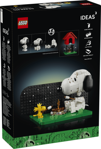 21368_Box5_v29.png