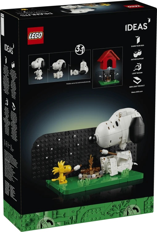 21368_Box5_v29.png