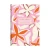 5904017430025 3.webp