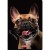 zeszyt a5 60 animals herlitz mr puggy