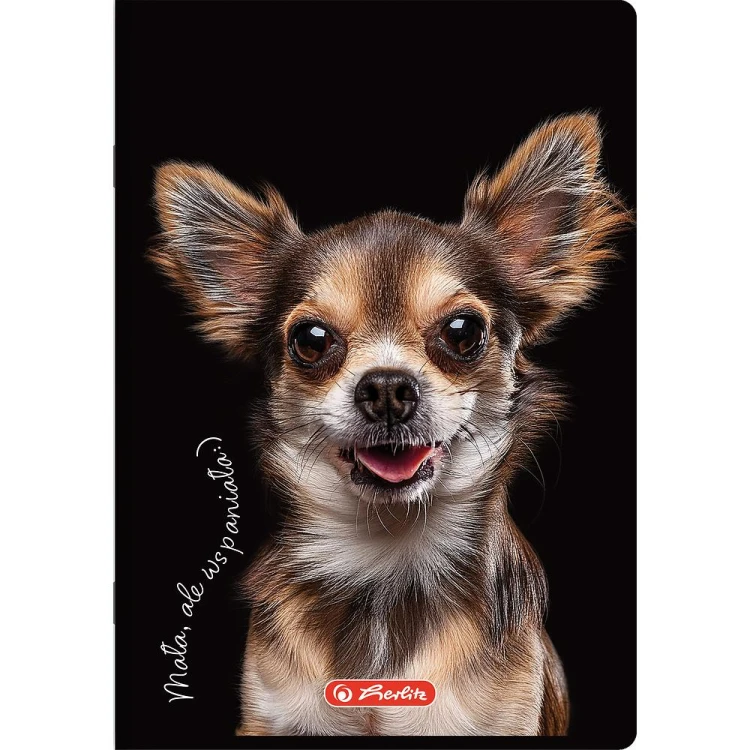 zeszyt a5 60 animals herlitz mr puggy
