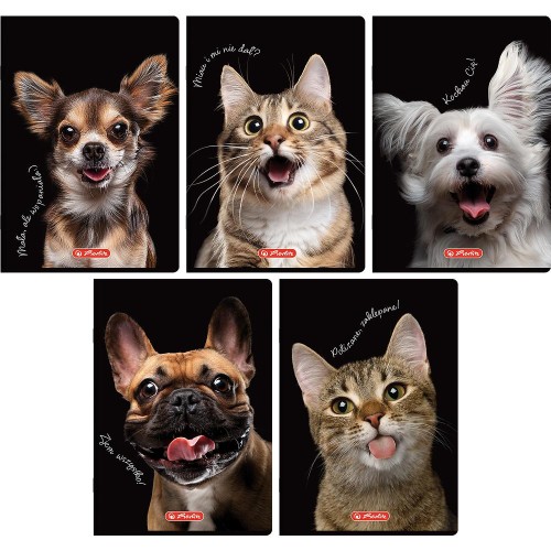 zeszyt a5 60 animals herlitz mr puggy