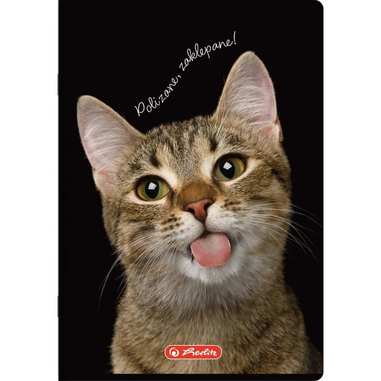 zeszyt a5 60 animals herlitz mr puggy