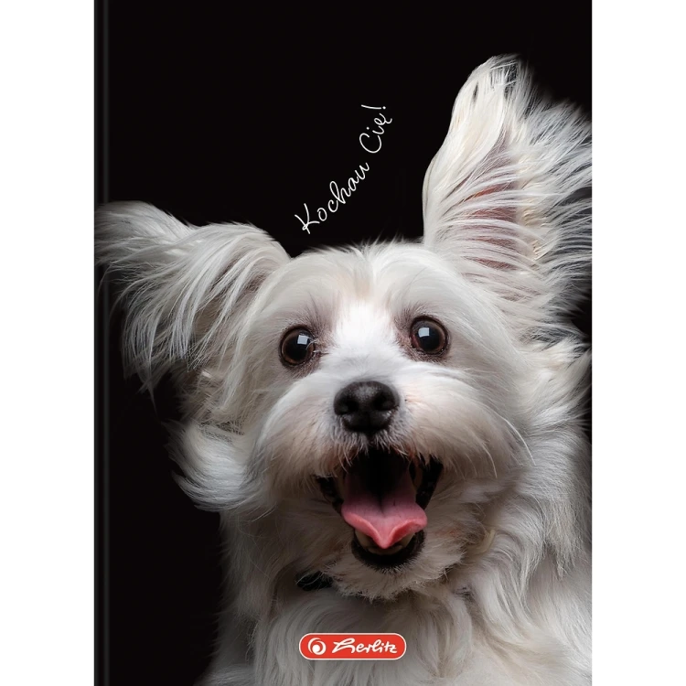 brulion a6 80 kratka herlitz mr puggy