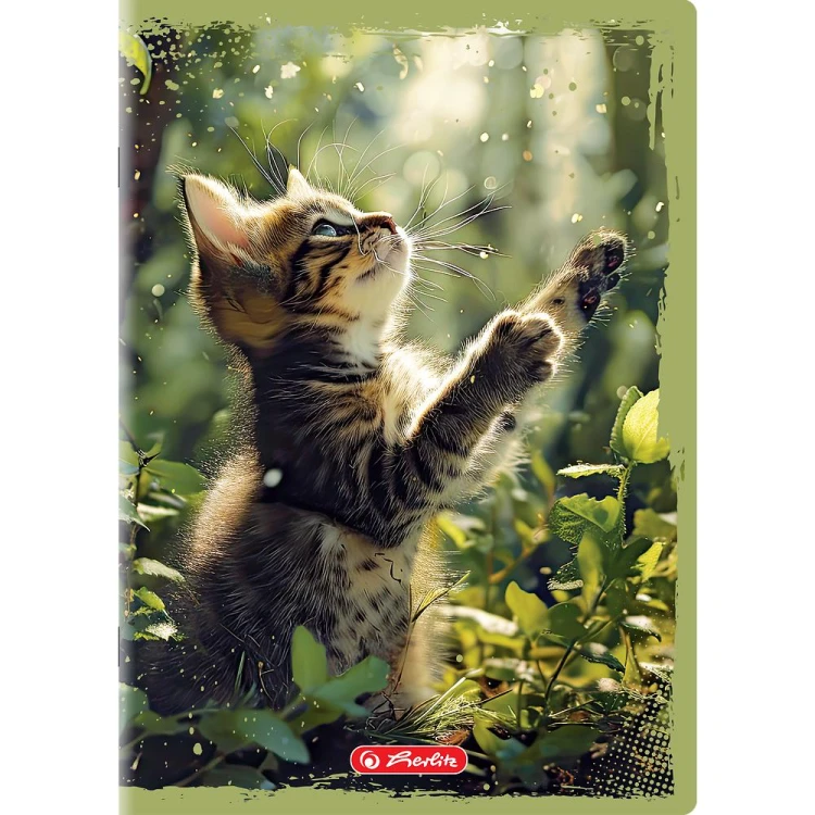 5904017442899 5.jpg