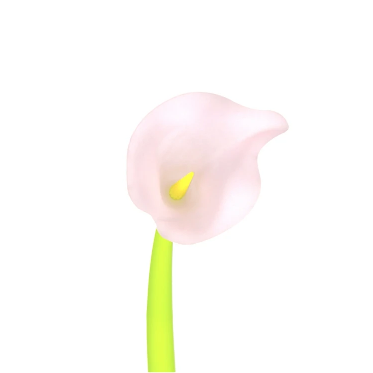 453666_11.jpg